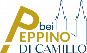 Logo neu bei Peppino+DiCamillo downsize